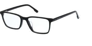 HL50029